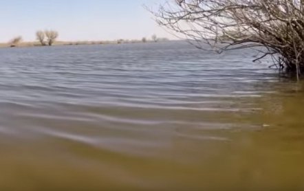 Донка на карася своими руками: как сделать, схема с кормушкой
