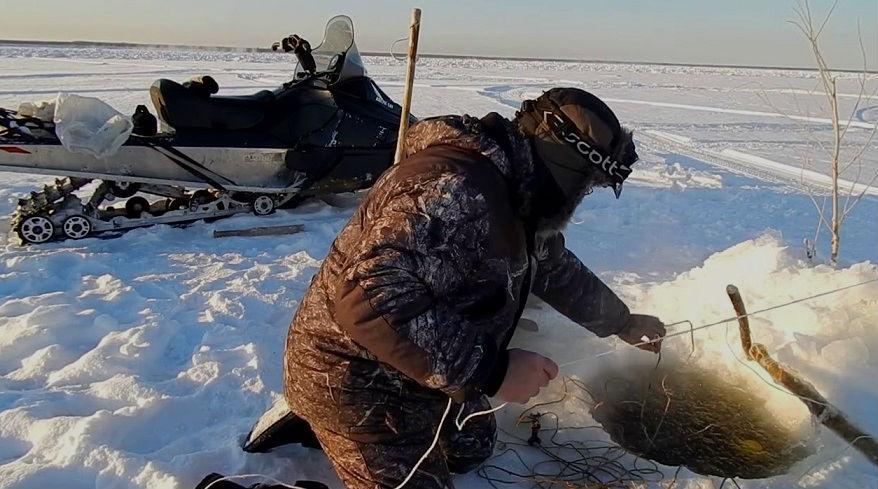 Перемет на волге