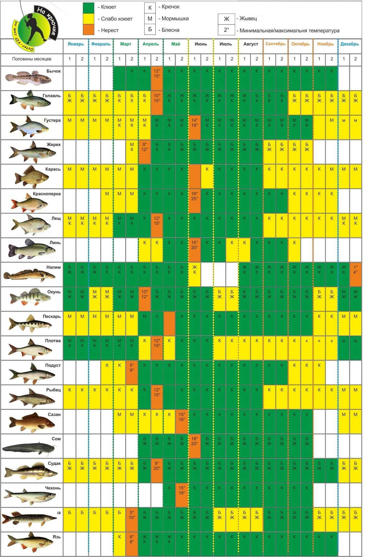 Карта клева рыбы на завтра