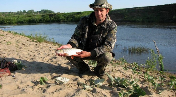 Рыбалка на суре. Рыбалка реке Сура в Пензенской области. Колдаис Пензенская область рыбалка. Река Сура рыбалка. Балкашинский пруд Пензенская область.